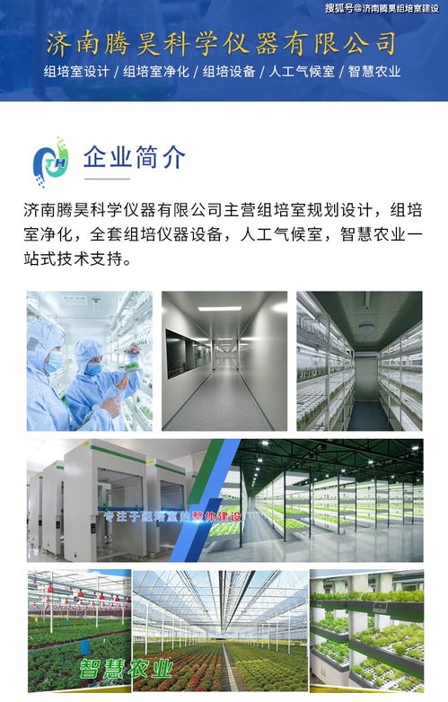 馬鈴薯組培苗與微型薯快繁技術(shù) 渭源與定西組培室的技術(shù)推廣服務