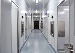 奉賢電子廠與食品廠裝修及軟件開發 現代產業升級的融合路徑